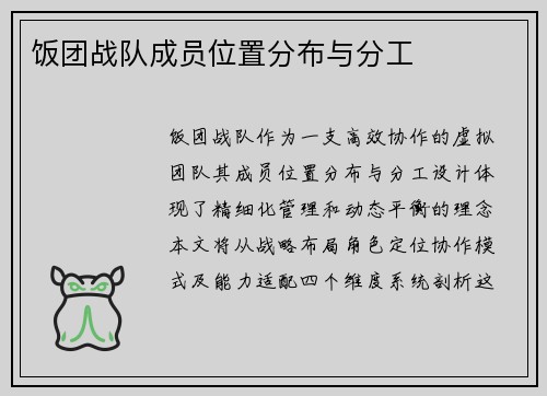饭团战队成员位置分布与分工